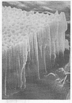 Electron microscope picture of anodized aluminum