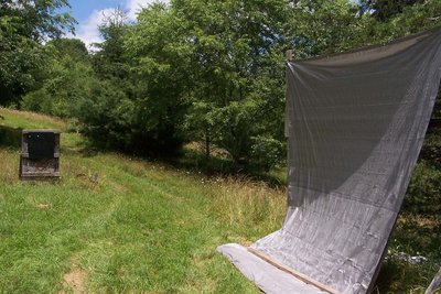 Handgun backstop with brass catcher tarp stand