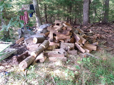 Because this isn't a great place for wood.  Not shown is the 8 tons of cola I also have just to the right, just in case. (bought back when it was really cheap, keeps forever, but stinks to burn).