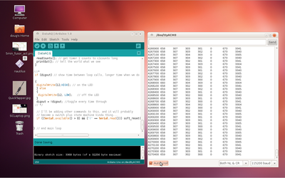 Screenshot of the thing running after some time.