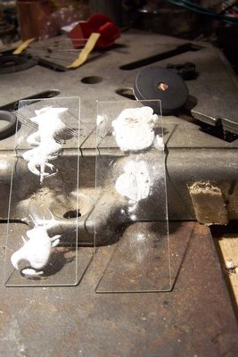 The pure sodium silicate turns white and expands over 3::1, while the talc mix is almost unchanged.