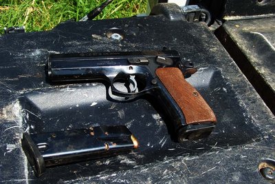 CZ-97b, 10 shot mag, bowling pin loads.