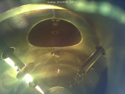 Tank innards, seen via top viewport (all under lead).