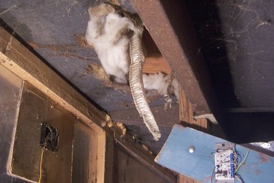 Why'd it have to be snakes?  Board in lower right of pic