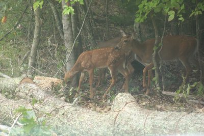Got a few hungry friends