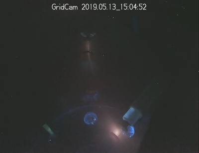 A little pi cam looking in from the top of the tank.
