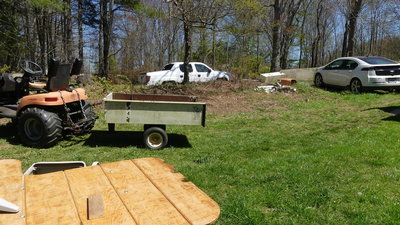 Spring is sproinging