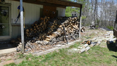 Some of this wood is getting old and insect infested!