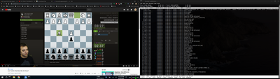 For fun, EricR plays against the twitch hive while I watch chrome destroy the SSD via iotop.
