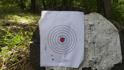 First 8 break-in shots.  Lower left is with boresight, bullseye is after adjusting scope a little.
