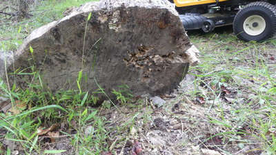 Bullets hitting other ones in the backstop and driving them  out the backside...I need a new stump.  Bullet fusion!
