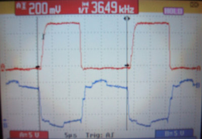 red = gate, blue = output (drain) @36.5KHz