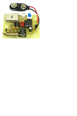 Micro image of original micro counter.